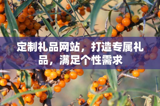 定制礼品网站，打造专属礼品，满足个性需求